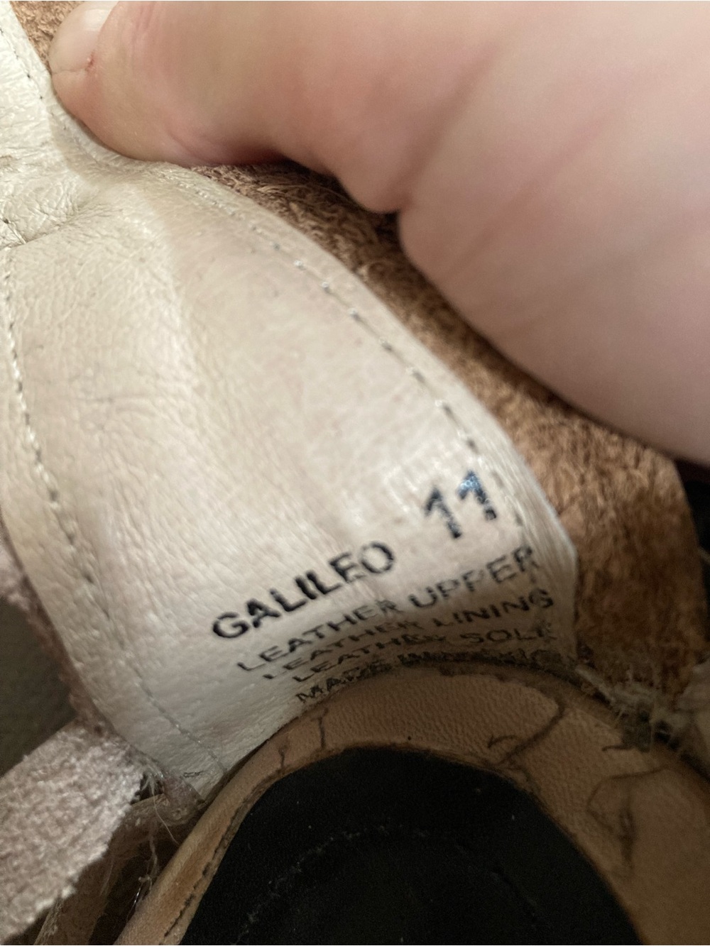 Freebird Galileo - Picture 2 of 8
